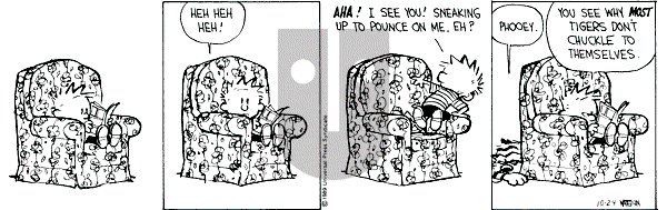 Calvin and Hobbes - Tuesday October 24, 1989 Comic Strip