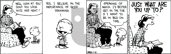 Calvin and Hobbes - Monday March 18, 1991 Comic Strip