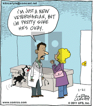 Kit 'N' Carlyle on Friday January 21, 2011 Comic Strip