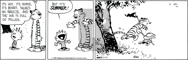 Calvin and Hobbes on Monday June 15, 2015 Comic Strip
