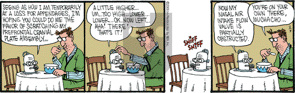 Monty on Tuesday February 3, 2009 Comic Strip
