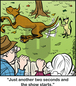 Marmaduke on Monday November 21, 2016 Comic Strip