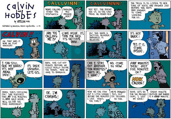 Calvin and Hobbes on Sunday August 1, 1993 Comic Strip