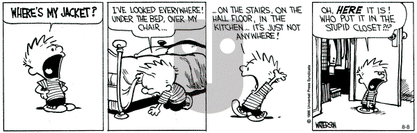 Calvin and Hobbes on Thursday August 8, 1991 Comic Strip