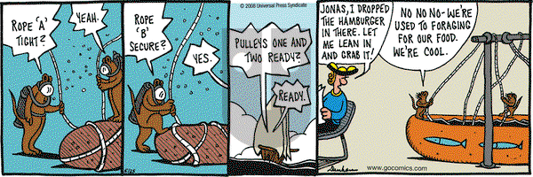 Overboard on Wednesday June 25, 2008 Comic Strip