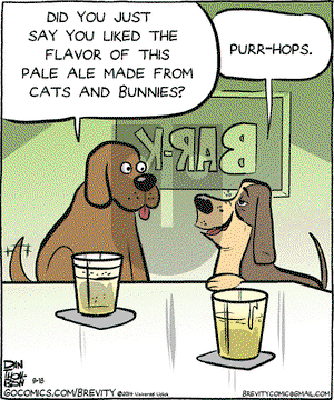 Brevity on Thursday September 18, 2014 Comic Strip
