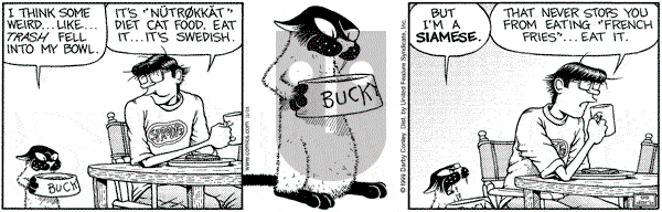 Get Fuzzy on Friday November 26, 1999 Comic Strip
