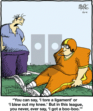 In the Bleachers - Friday December 4, 2009 Comic Strip