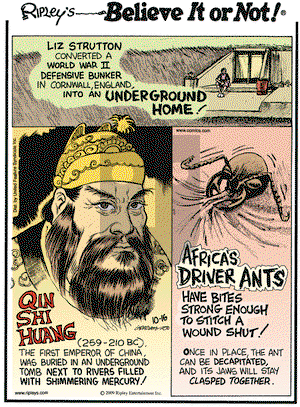 Ripley's Believe It or Not on Friday October 16, 2009 Comic Strip