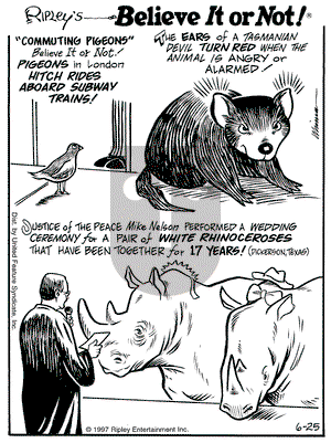 Ripley's Believe It or Not on Wednesday June 25, 1997 Comic Strip