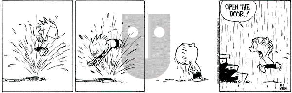 Calvin and Hobbes on Monday August 3, 1992 Comic Strip