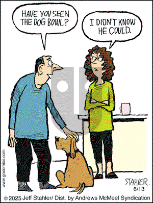 Moderately Confused on Friday June 13, 2025 Comic Strip
