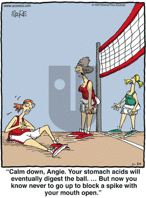 In the Bleachers on Saturday November 20, 2004 Comic Strip