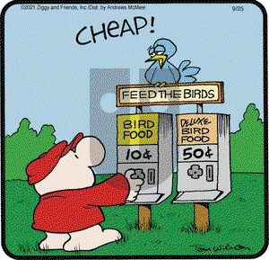 Ziggy on Saturday September 25, 2021 Comic Strip