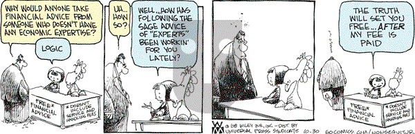 Non Sequitur on Monday November 10, 2008 Comic Strip
