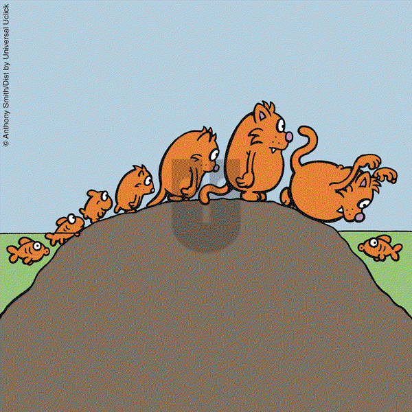 Learn to Speak Cat on Monday January 27, 2025 Comic Strip