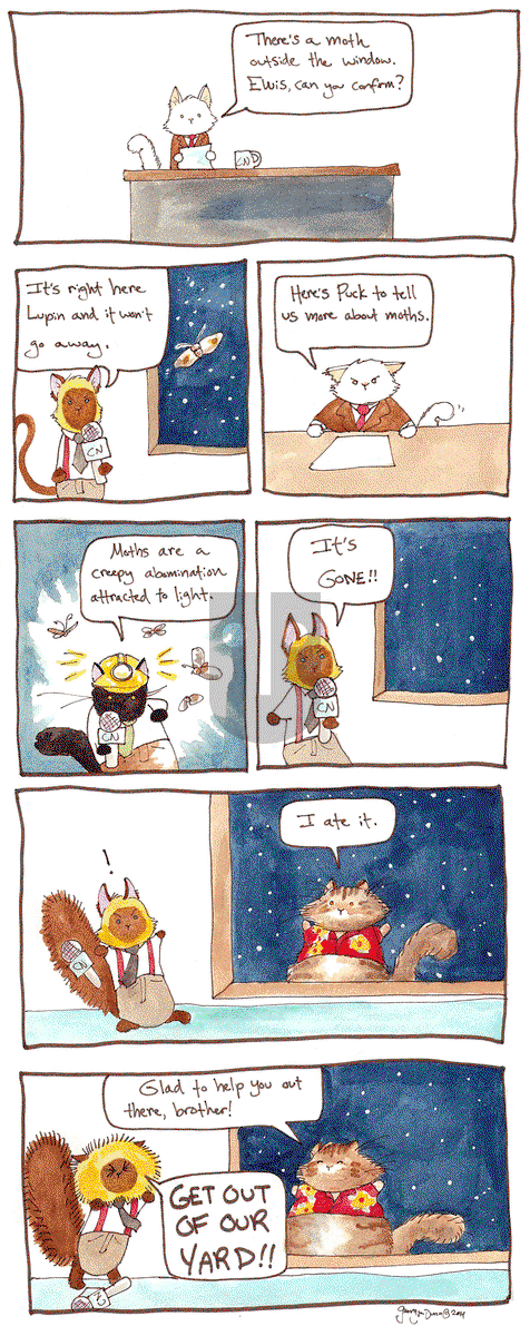 Breaking Cat News on Monday December 8, 2014 Comic Strip