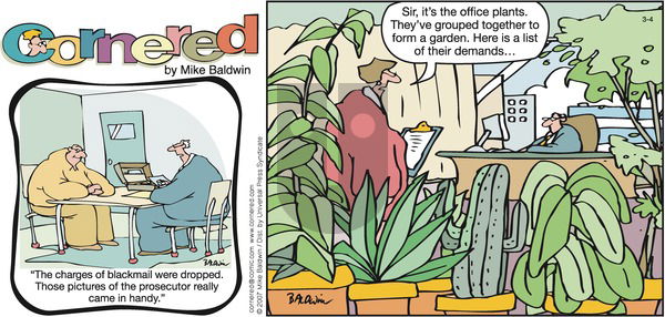 Cornered on Sunday March 4, 2007 Comic Strip