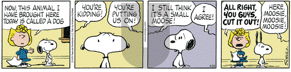 Peanuts on Tuesday April 29, 2025 Comic Strip