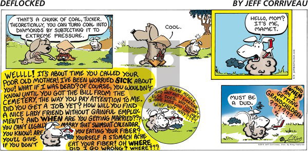 DeFlocked on Sunday May 9, 2010 Comic Strip