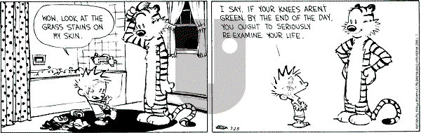 Calvin and Hobbes - Saturday July 25, 1992 Comic Strip