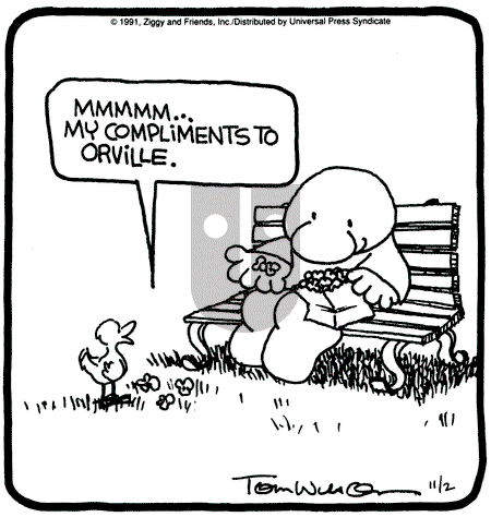 Ziggy - Saturday November 2, 1991 Comic Strip
