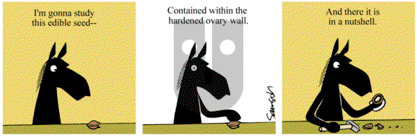 Dark Side of the Horse on Saturday March 18, 2017 Comic Strip