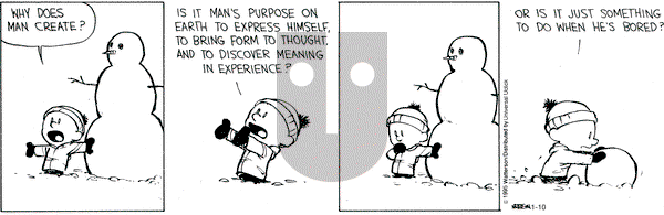 Calvin and Hobbes on Saturday January 10, 2015 Comic Strip