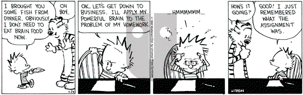 Calvin and Hobbes on Wednesday November 24, 1993 Comic Strip