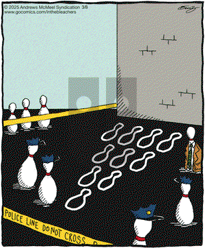 In the Bleachers - Saturday March 8, 2025 Comic Strip