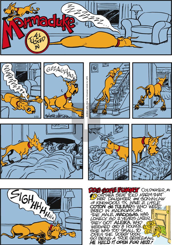 Marmaduke on Sunday May 22, 2016 Comic Strip