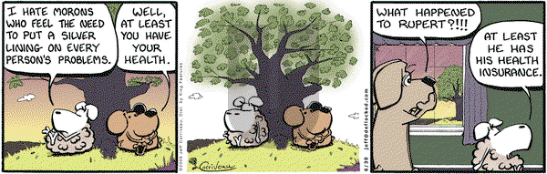 DeFlocked on Tuesday June 30, 2009 Comic Strip