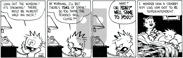 Calvin and Hobbes - Friday November 29, 2024 Comic Strip