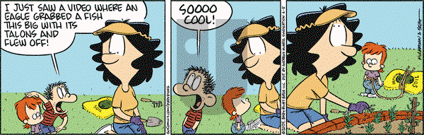 Baby Blues on Thursday June 5, 2025 Comic Strip
