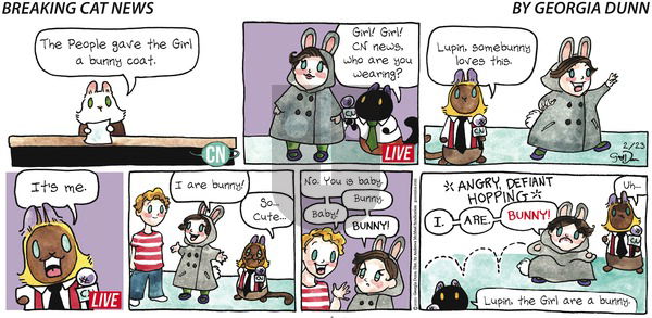 Breaking Cat News on Sunday February 23, 2020 Comic Strip