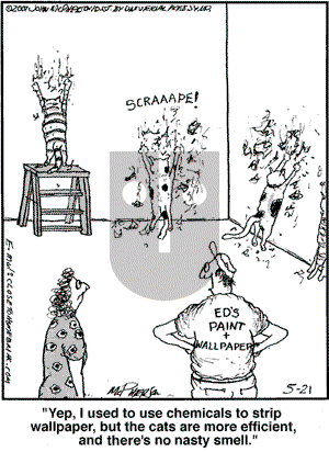 Close to Home on Monday May 21, 2007 Comic Strip