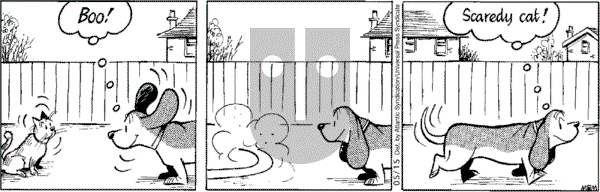 Fred Basset on Tuesday May 15, 2007 Comic Strip