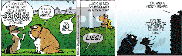 Over the Hedge on Thursday August 13, 2020 Comic Strip