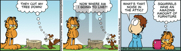 Garfield - Tuesday May 29, 2012 Comic Strip