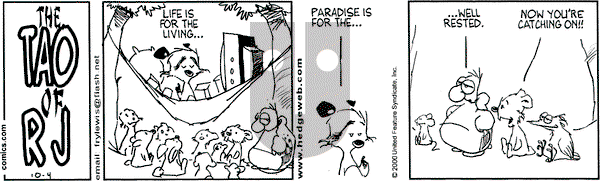 Over the Hedge on Wednesday October 4, 2000 Comic Strip