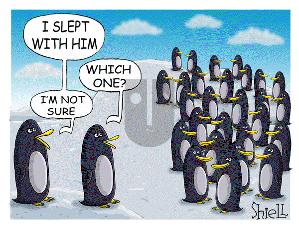 The Wandering Melon on Friday February 14, 2025 Comic Strip