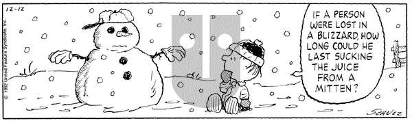 Peanuts on Saturday December 12, 1992 Comic Strip