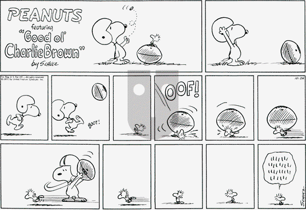 Peanuts - Sunday October 24, 1971 Comic Strip