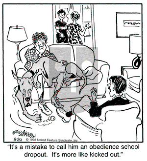 Marmaduke on Friday September 1, 2000 Comic Strip