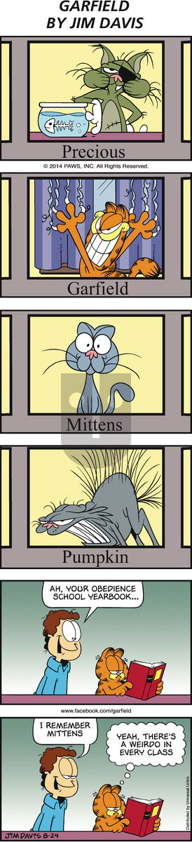 Garfield - Sunday August 24, 2014 Comic Strip