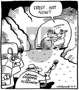 Reality Check on Tuesday September 9, 1997 Comic Strip