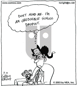 Kit 'N' Carlyle on Wednesday July 28, 2004 Comic Strip