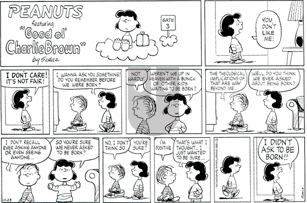 Peanuts - Sunday November 23, 1986 Comic Strip