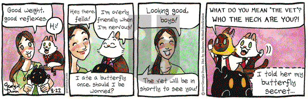 Breaking Cat News on Tuesday August 22, 2017 Comic Strip