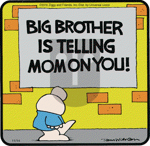 Ziggy - Monday November 14, 2016 Comic Strip